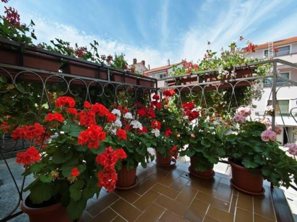 Apartments Elda Rovinj Exterior photo